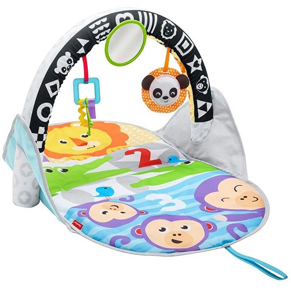 Fisher Price Newborn Stow And Go Activity Gym