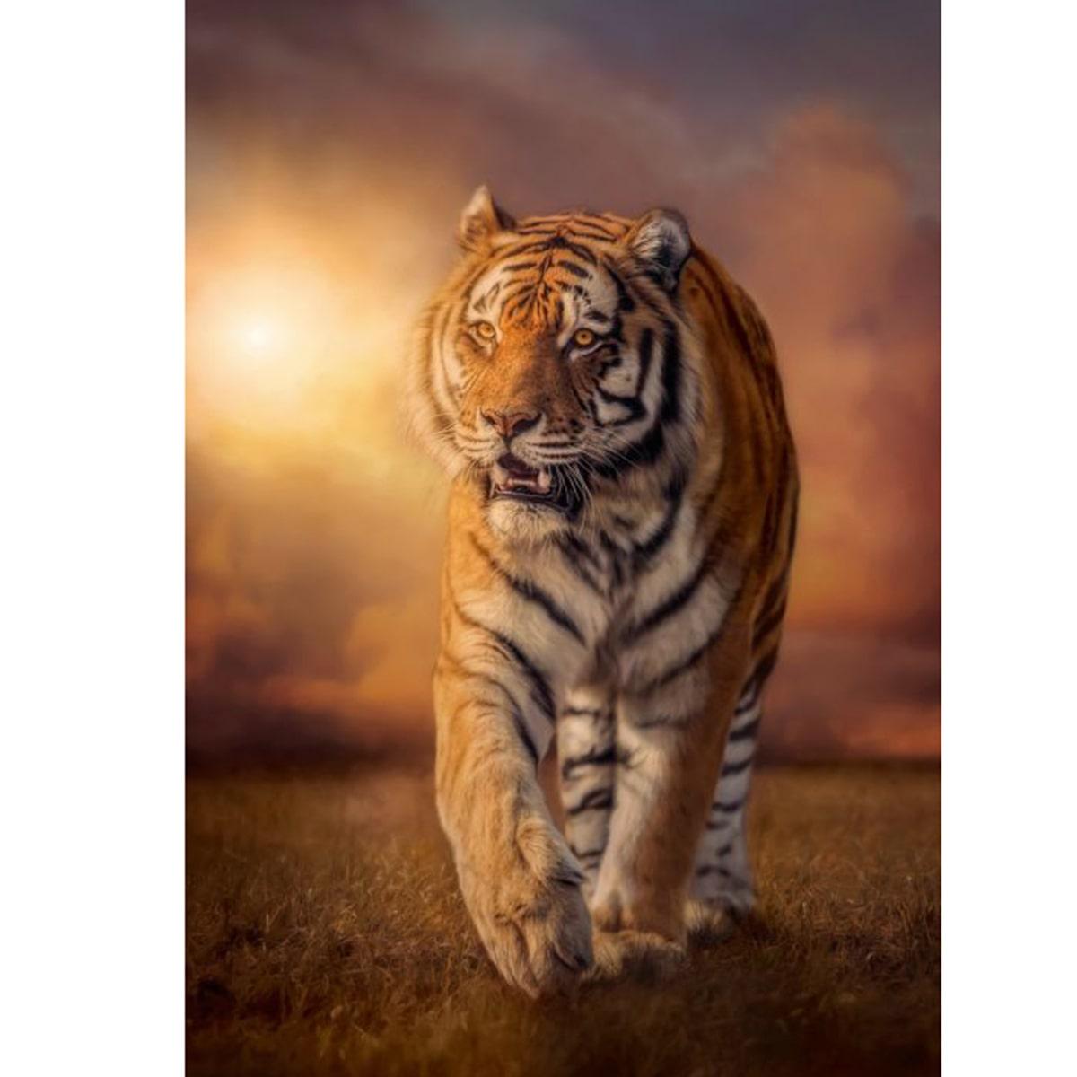 Clementoni Tiger Puzzle1500 Pieces