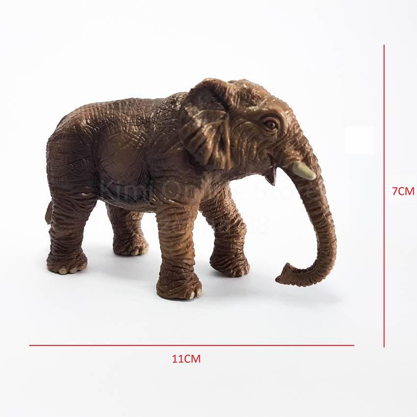 ناشيونال جيوغرافيك - مجسم الفيل و الباندا