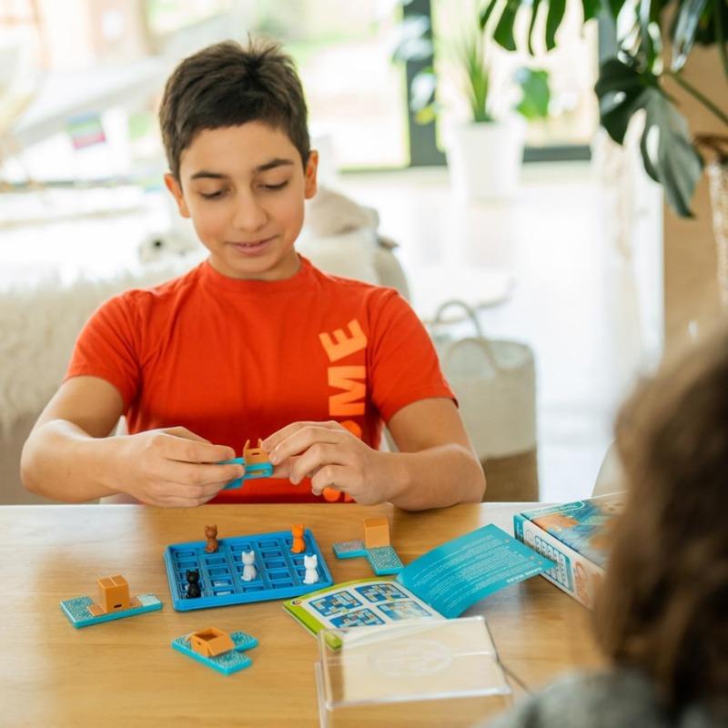 Smart Hidden Cats Logic Puzzle Game