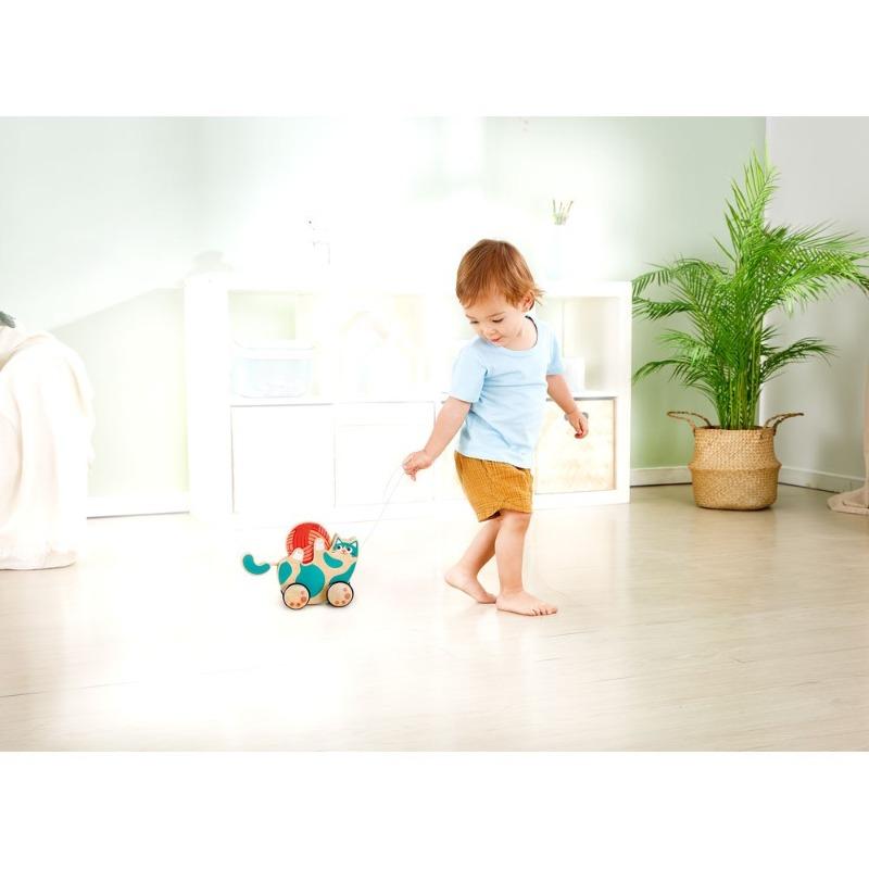 Hape Roll and Rattle Kitten Pull Along Toy