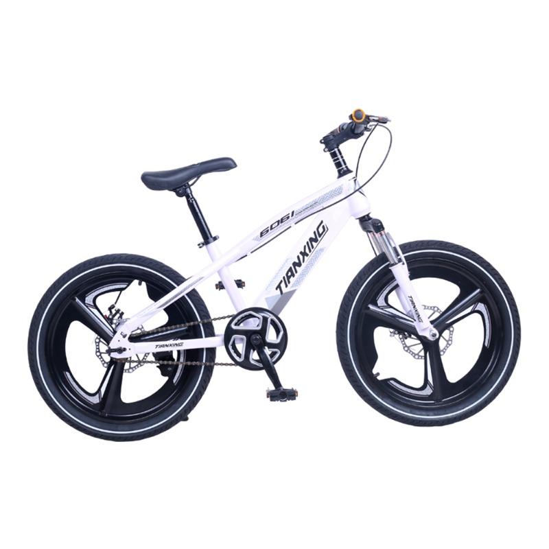 تيانشينغ - دراجة 6061 ثنائية العجلات للأطفال 20 انش