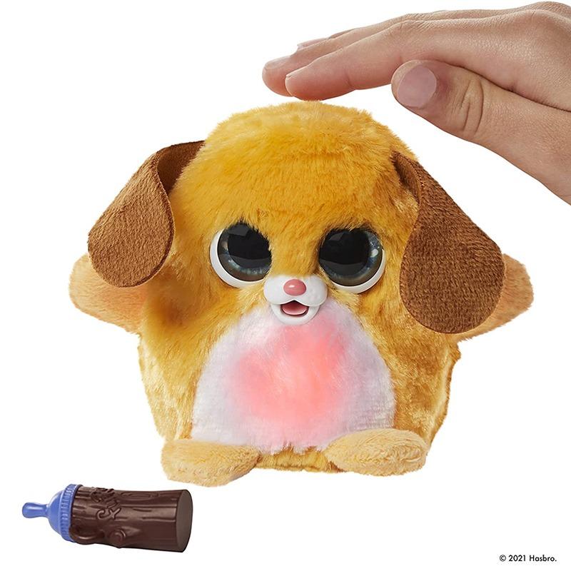 فوريل - فوزالوتس بوبي