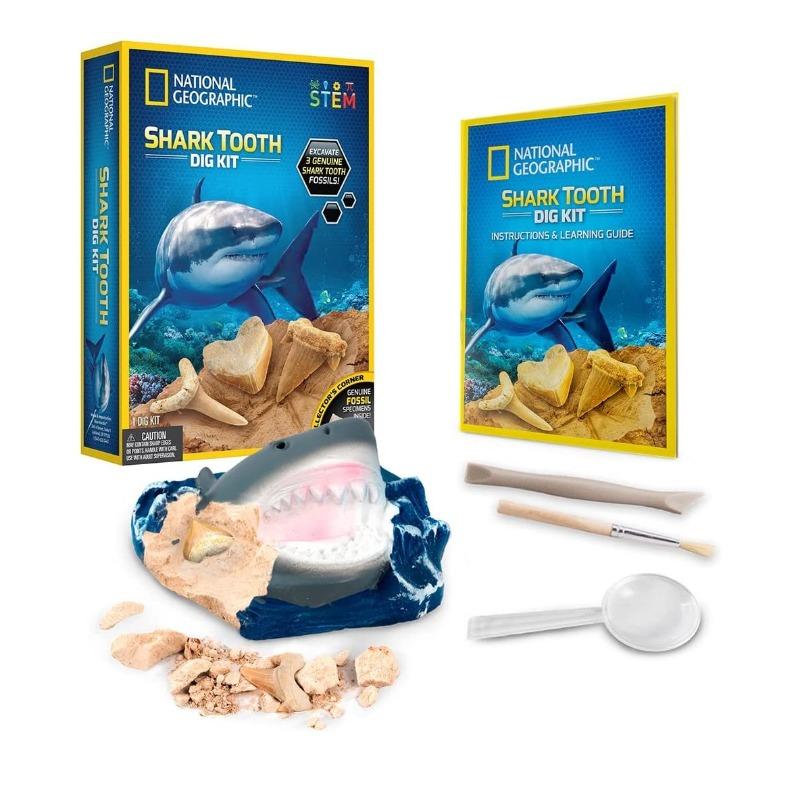 ناشيونال جيوغرافيك - مجموعة أدوات حفر أسنان القرش