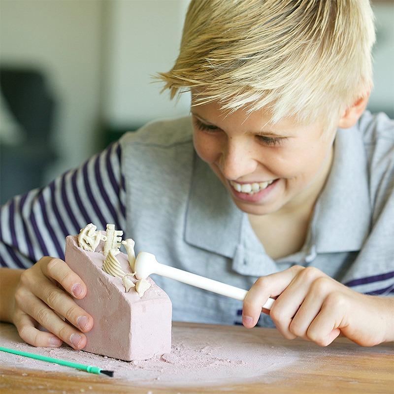 فور إم - مجموعة حفر الهيكل العظمي للديناصور ستيجوسورس