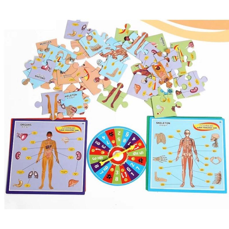 Human Body Puzzle