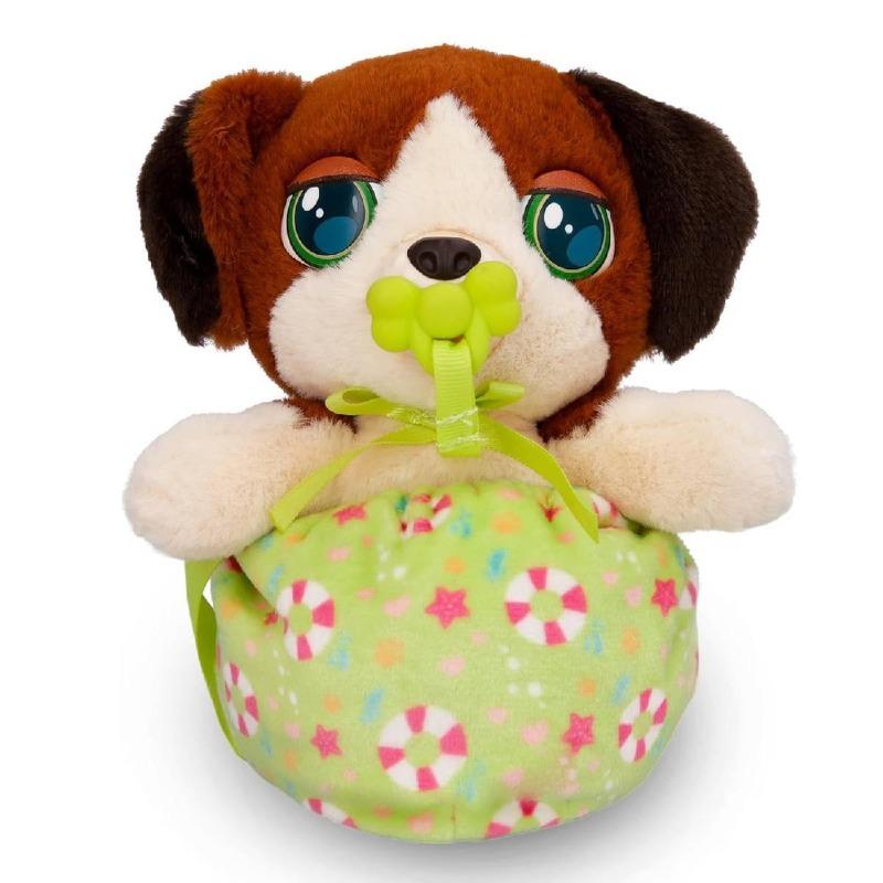 جراء بيبي باوز ميني متنوعة