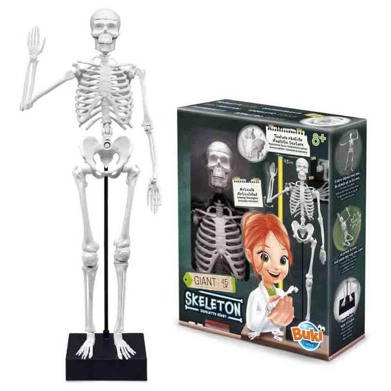 Buki France Skeleton - 45 Cm