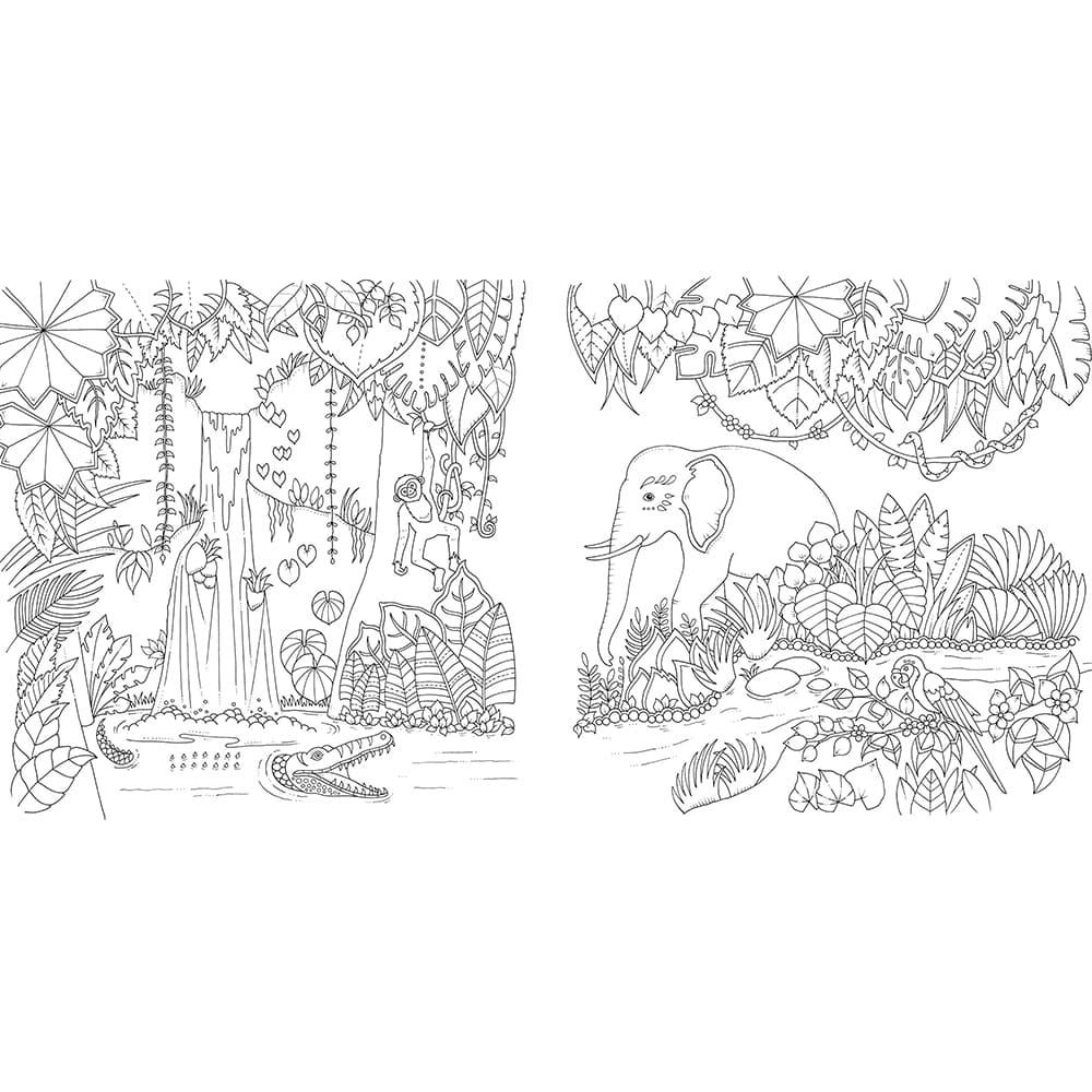 كتاب تلوين الغابة السحرية