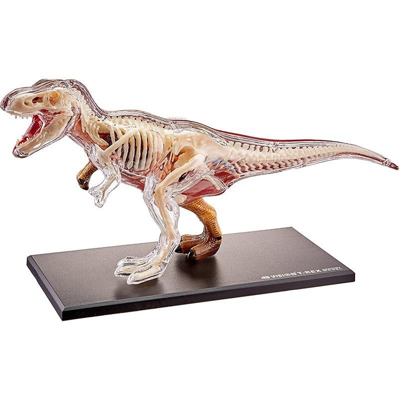 4D Master Dinosaur T-Rex Anatomy Set