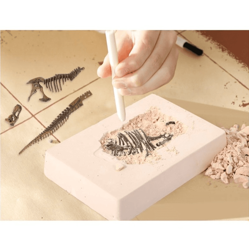 Dinosaur Digs And Paints Tyrannosaurus Rex Set