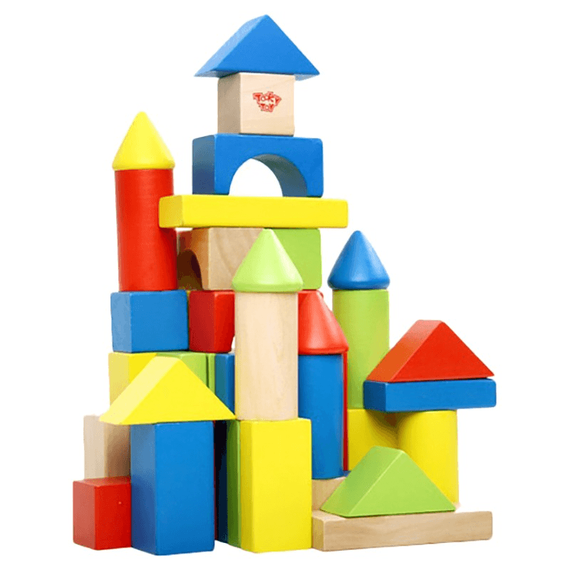 Tooky Toys Wooden Blocks Set - 50 Pcs