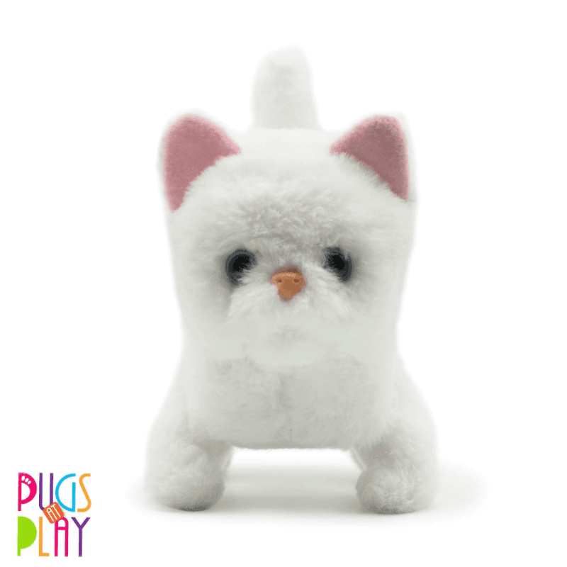 Pugs at Play Casper Walking Cat