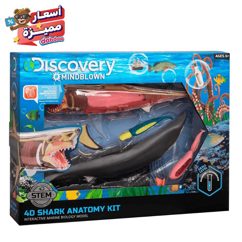 ديسكوفري كيدز - مجموعة تشريح سمك القرش رباعي الأبعاد