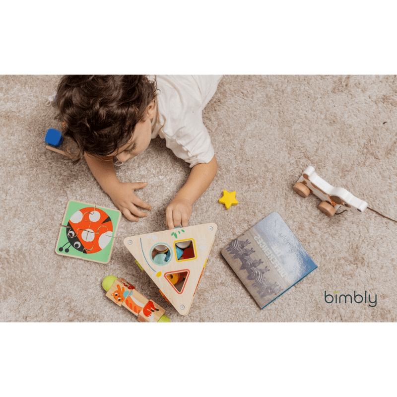 بيمبلي - صندوق التعلم مونتيسوري 19-24 أشهر