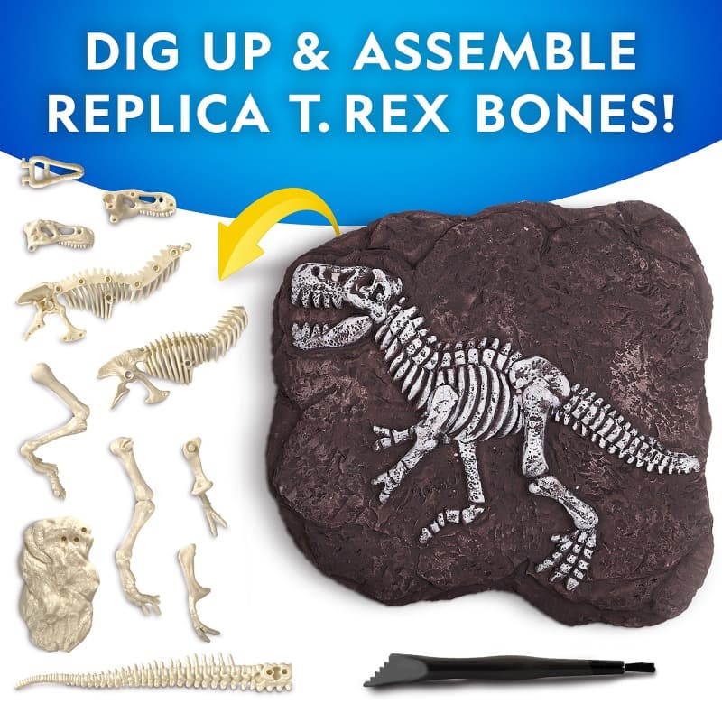 National Geographic Tyrannosaurus Rex Dig Kit thumbnail 2