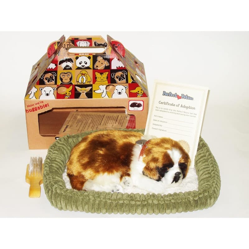 Perfect Petz St. Bernard