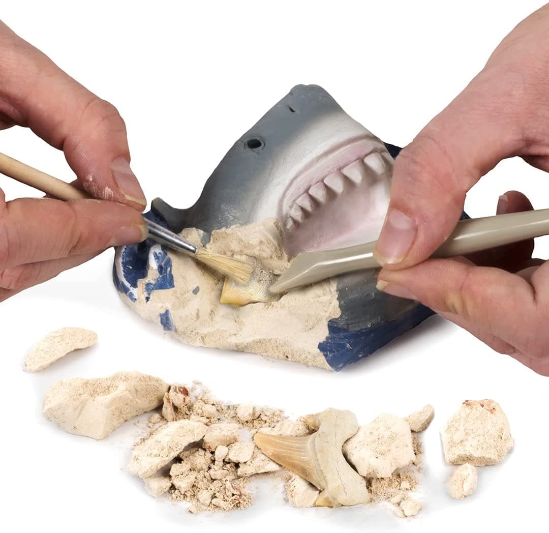 National Geographic Shark Tooth Dig Kit thumbnail 2