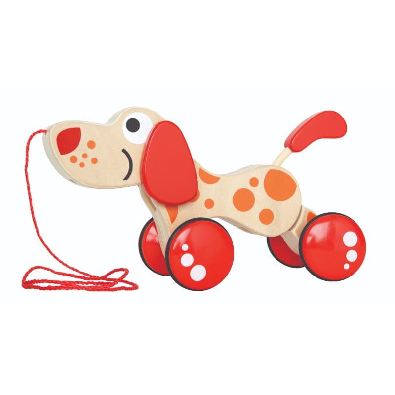 Hape - Walk A Long Puppy