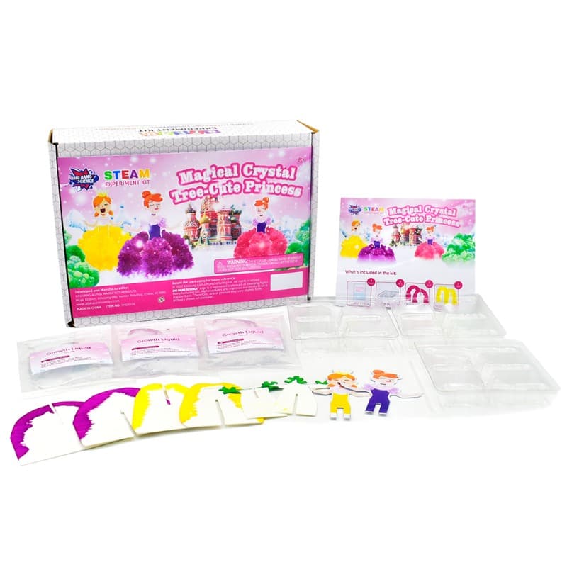 Magical Princes Crystal Tree Science Experiment