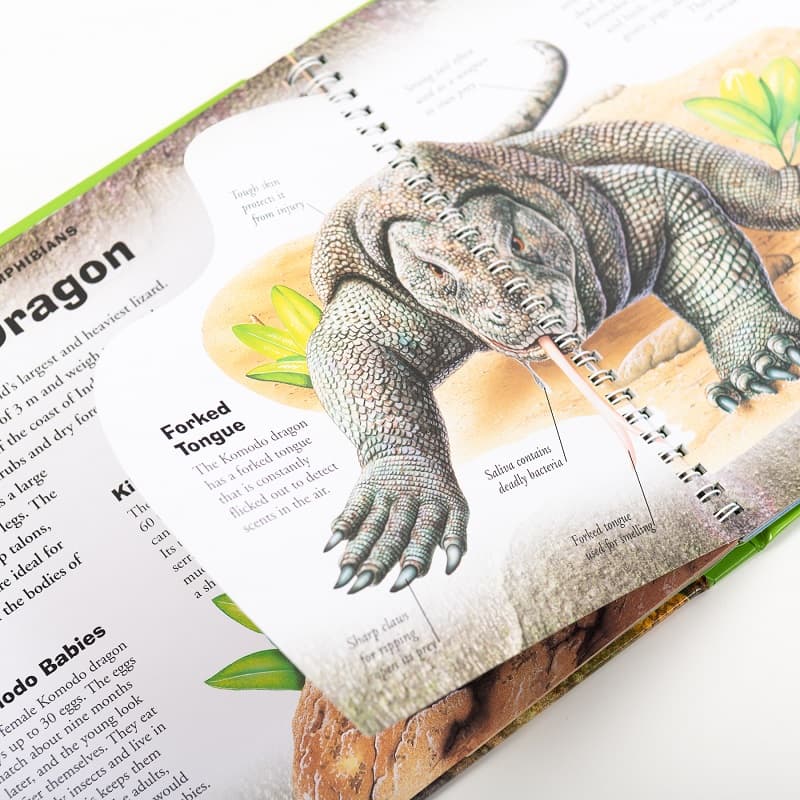 Incredible Reptiles And Amphibians Book Wild Life thumbnail 4