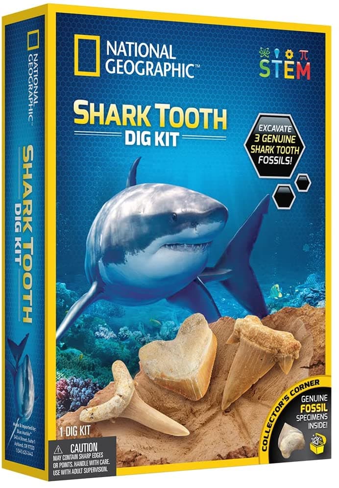 National Geographic Shark Tooth Dig Kit thumbnail 4