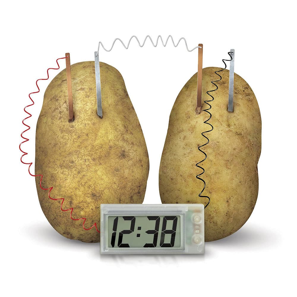 4M Green Science Potato Clock Kit thumbnail 3