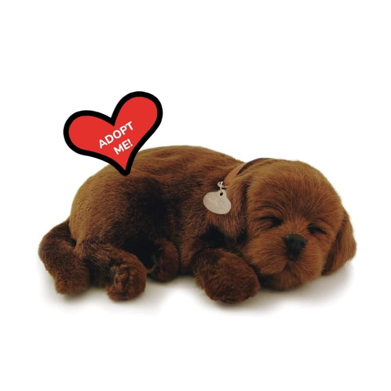 Perfect Petz Stuffed Chocolate Lab Plush for Kids