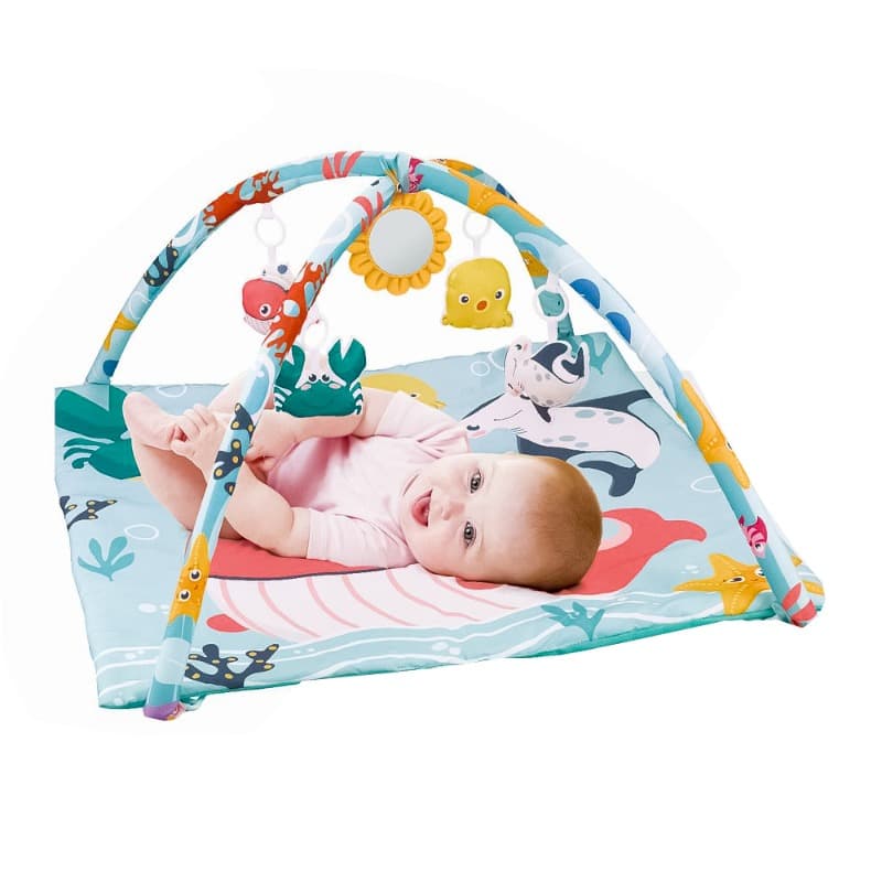 Baby Gym Mat