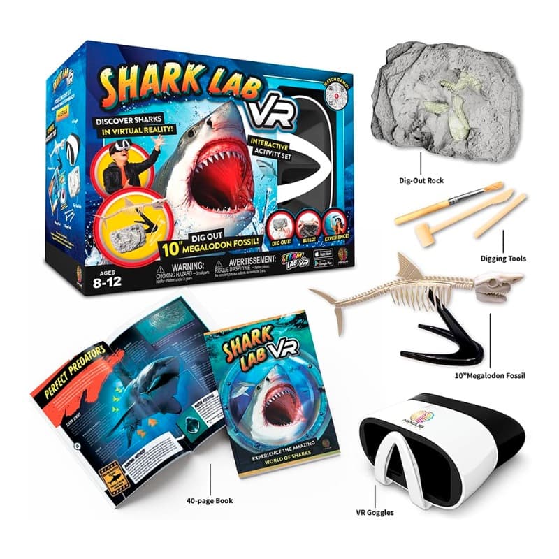 Abacus VR Project Activity Shark Lab thumbnail 2