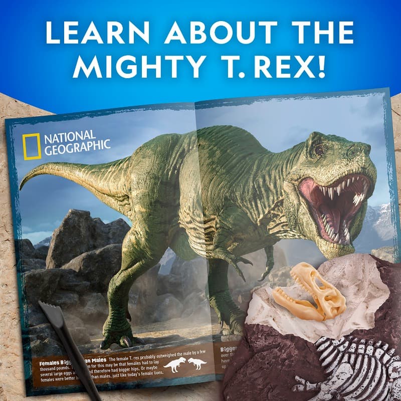 National Geographic Tyrannosaurus Rex Dig Kit thumbnail 3