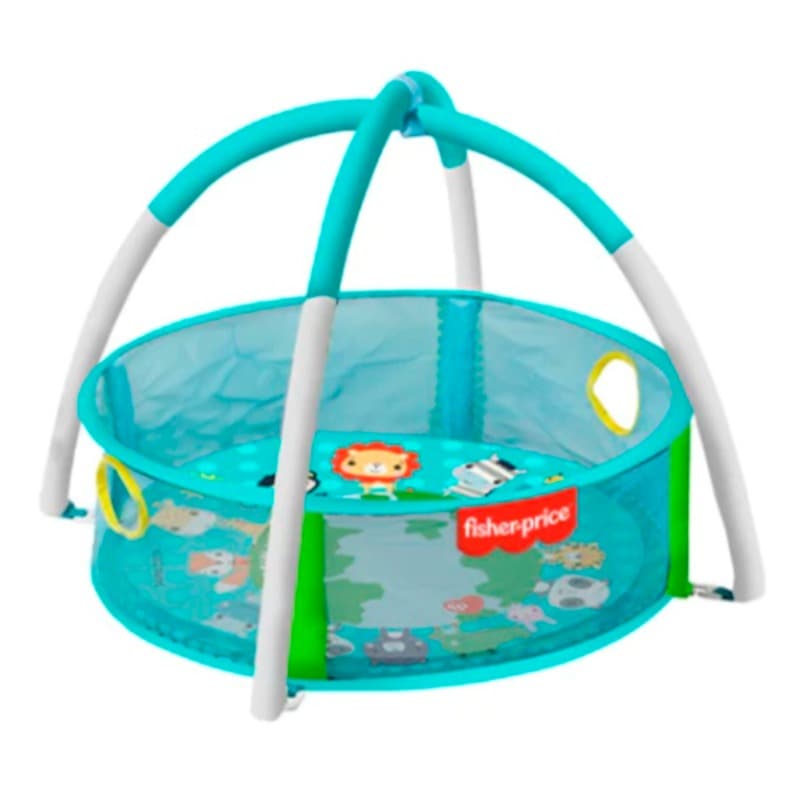 Fisher-Price 2-in-1 Ball Pit Playset thumbnail 2