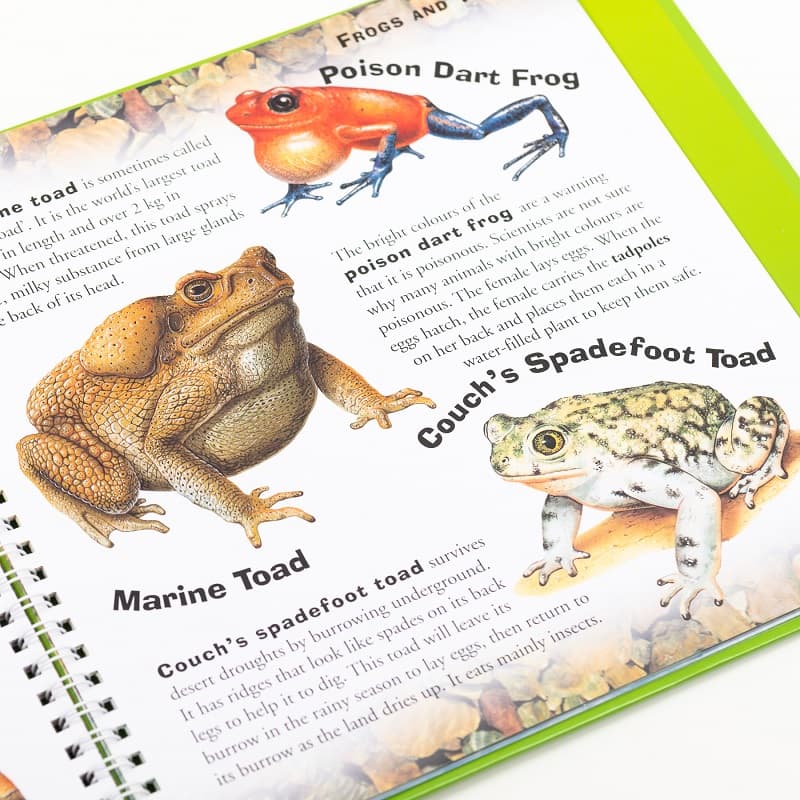Incredible Reptiles And Amphibians Book Wild Life thumbnail 2