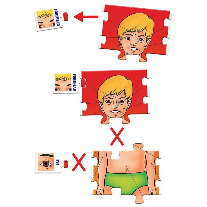 Frank Parts Of My Body Puzzle - 25 Pcs thumbnail 2