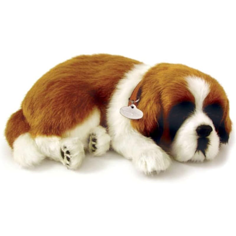 Perfect Petz St. Bernard thumbnail 2