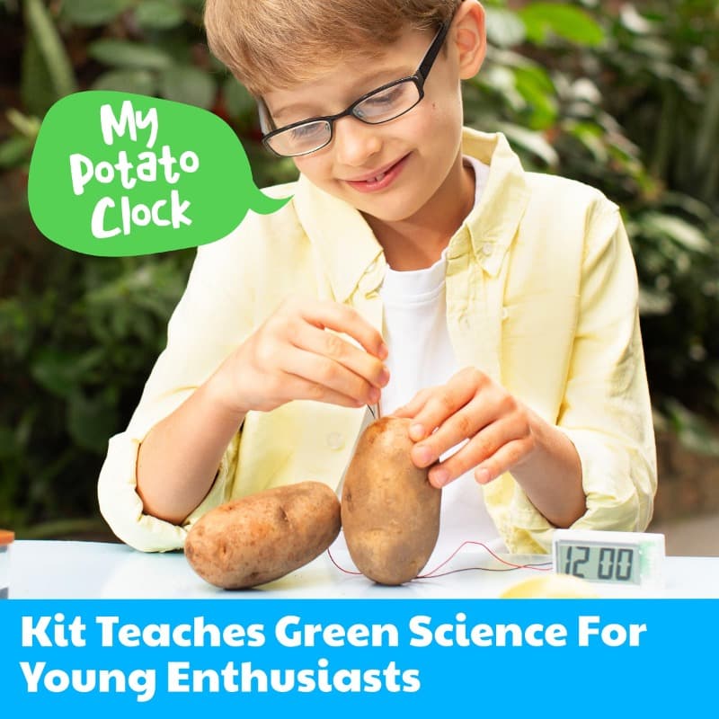 4M Green Science Potato Clock Kit thumbnail 2