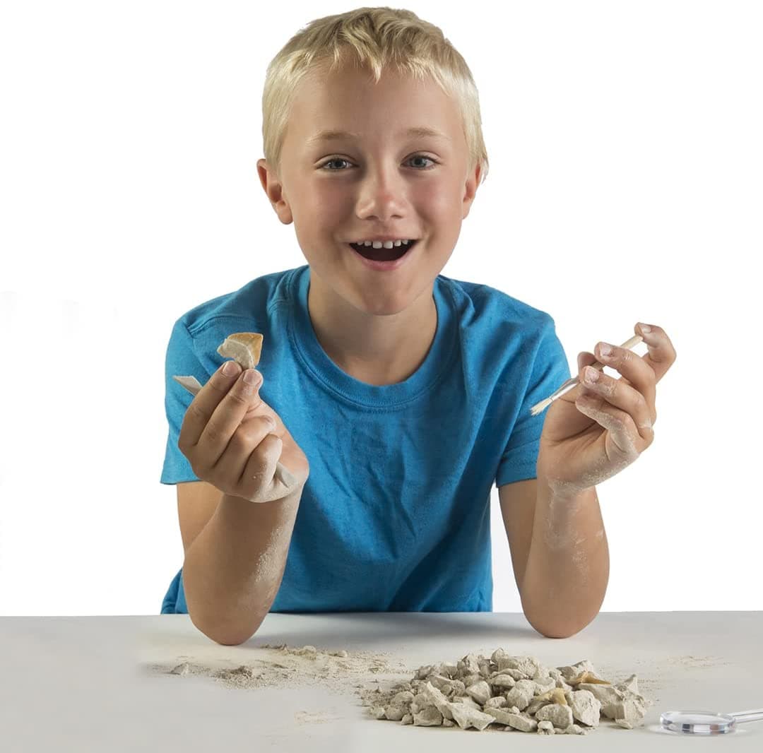 National Geographic Shark Tooth Dig Kit thumbnail 3