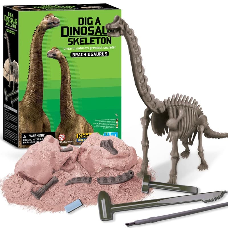 4M Kidz Labs Dig A Brachiosaurus Skeleton