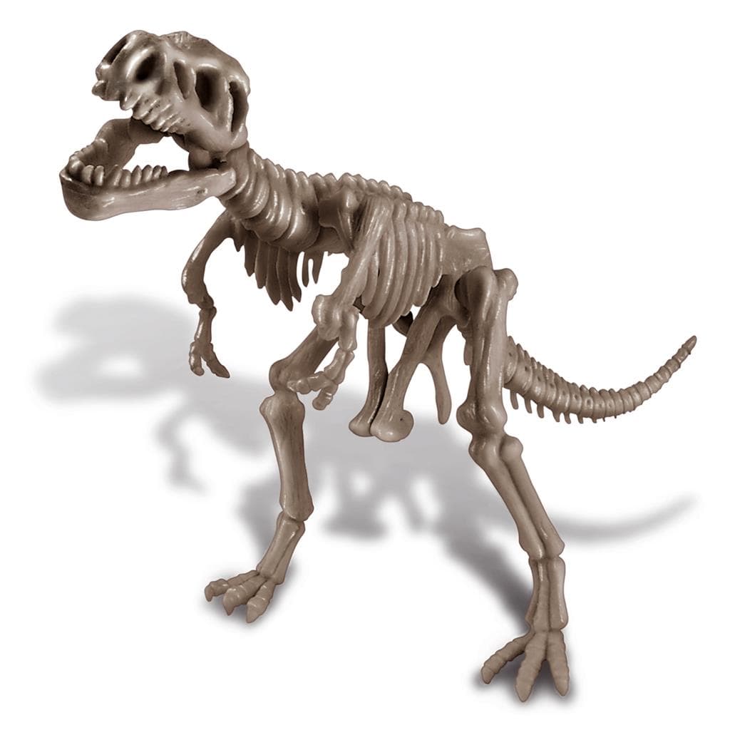 4M KidzLabs Dig A Dinosaur Skeleton Tyrannosaurus Rex thumbnail 5