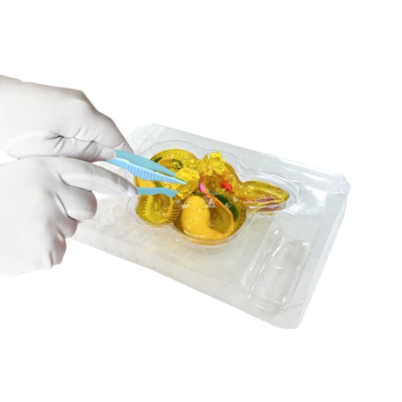 Dissect It Simulated Lab Animal Anatomy Rattlesnake thumbnail 3