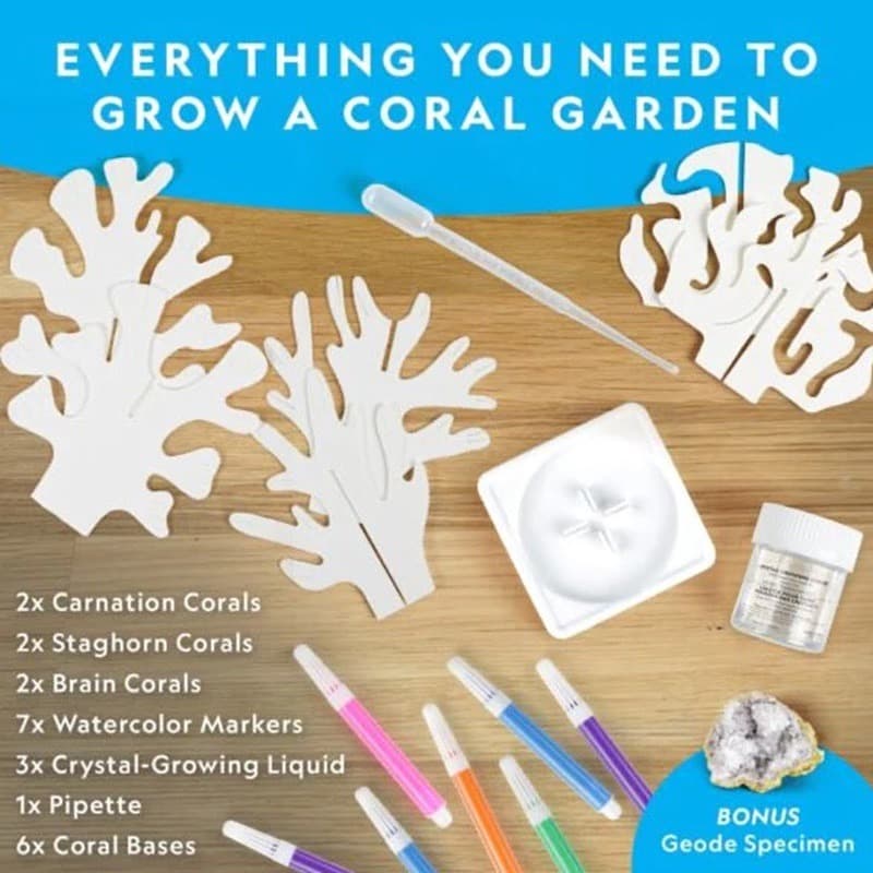 National Geographic Crystal Reef Science Kit thumbnail 3