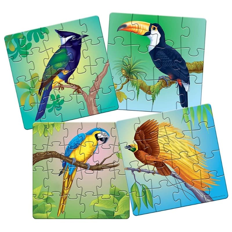 Frank Exotic Birds Pack of 4 Puzzles - 72pcs thumbnail 2