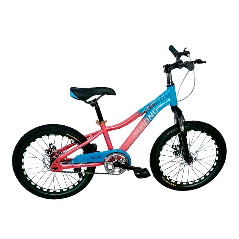 First Step Kids' Bike 20 Inch