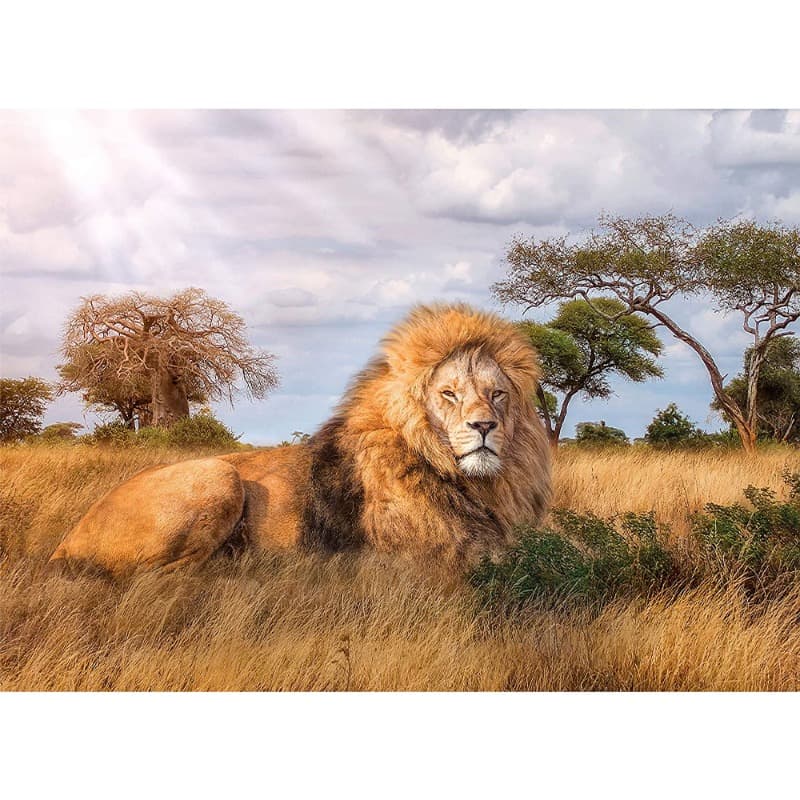 Clementoni - The King Of Forest Lion Puzzle - 1000 Pieces thumbnail 2