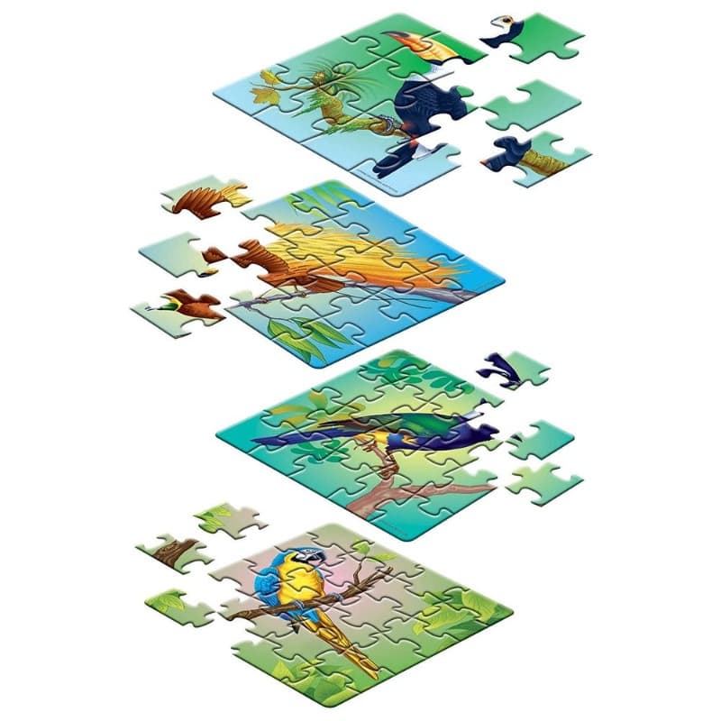 Frank Exotic Birds Pack of 4 Puzzles - 72pcs thumbnail 3