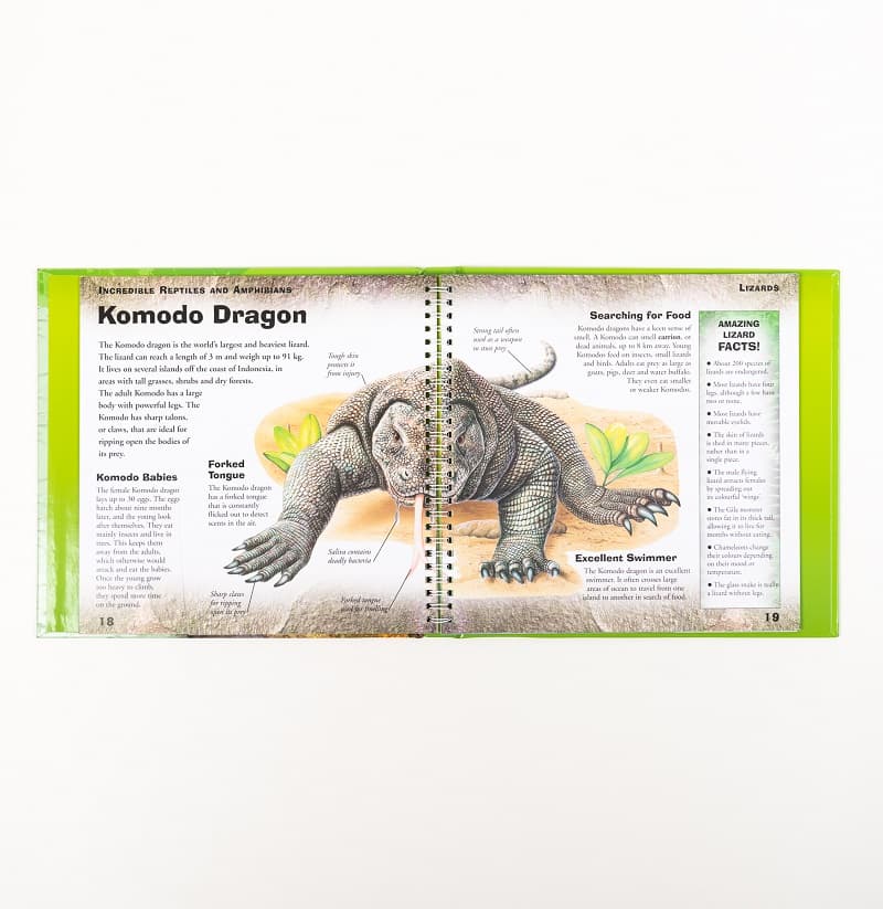 Incredible Reptiles And Amphibians Book Wild Life thumbnail 3