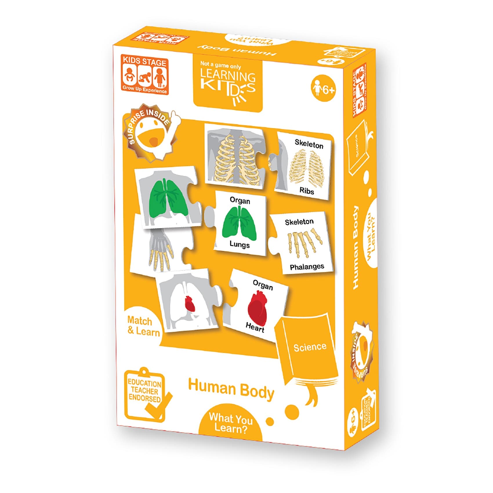 Learning Kitds Human Body